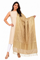BANARASI DUPATTA WITH BEIGE ZARI WORK